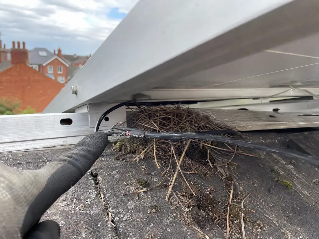 Damaged solar cable found under a panel during a repair visit, Birmingham